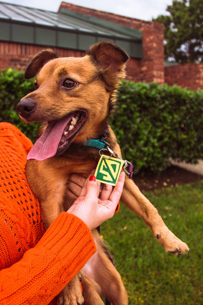 Easy DIY Scooby Doo Dog and Owner Halloween Costume ...